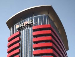 e3998b3e-d8bb-4d7a-b4ee-99af0e681740_917